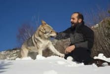Sample 4 – People play with dog