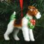 Sample 3 – Wire haired fox terrier