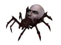 Sample 5 – Spider