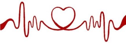 Sample 4 – Squiggle