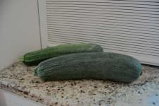 Sample 5 – Zucchini
