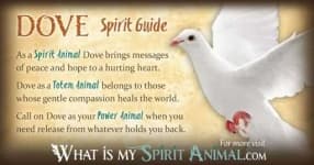 Sample 1 – Dove