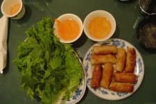 Sample 4 – Spring rolls