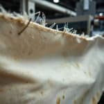 Sample of Fabric loose thread