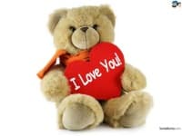 Sample 22 – Teddy bear