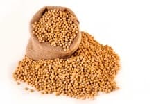 Sample 5 – Soy