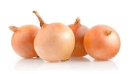 Sample 5 – Onion