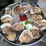 Sample 6 – Oisters