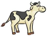 Sample 5 – Cow