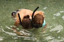 Sample 5 – Snorkel
