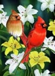 Sample 3 – Cardinal