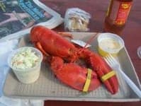 Sample 3 – American lobster