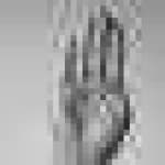 Sample 24 – Hand sign b
