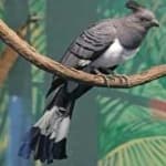 Sample 3 – Go away bird