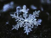 Sample 5 – Snowflake