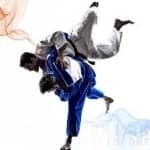 Sample 2 – Judo