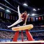 Sample 1 – Pommel horse