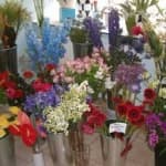 Sample 6 – Florist