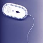 Sample 3 – Mouse
