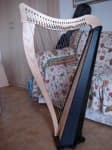 Sample 6 – Harp