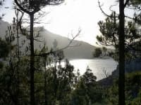 Sample 4 – Seashore
