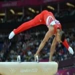 Sample 4 – Pommel horse