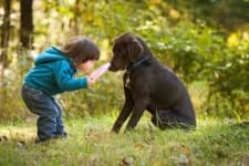 Sample 6 – People play with dog