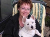 Sample 1 – West highland white terrier