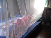 Sample 2 – Mosquito net
