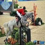 Sample 6 – Horse jumping