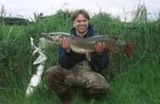 Sample 2 – Tench