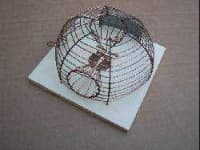 Sample 5 – Mousetrap