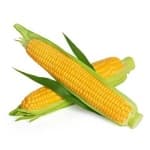 Sample 2 – Sweetcorn