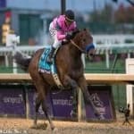 Sample 5 – Horse racing