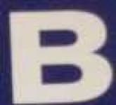 Sample 2 – B capital letter