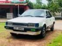 Sample 24 – Familia car