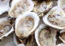 Sample 6 – Oyster