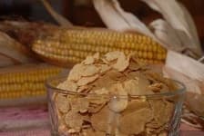 Sample 3 – Corn