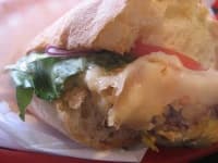 Sample 3 – Dungeness crab