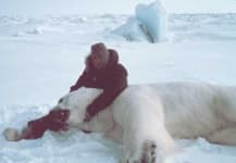Sample 1 – Polar bear