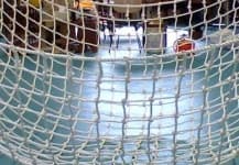 Sample 5 – Meshed