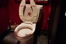Sample 4 – Toilet seat