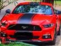 Sample 20 – Ford car
