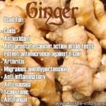 Sample 6 – Ginger