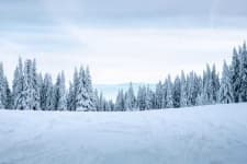 Sample 1 – Snowy