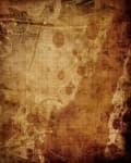 Sample 2 – Stained
