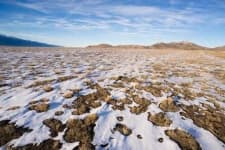 Sample 5 – Tundra