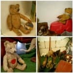 Sample 1 – Teddy
