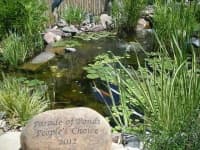 Sample 4 – Pond