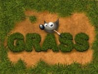 Sample 6 – Grass